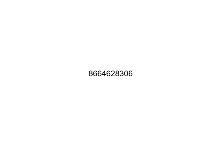8664628306