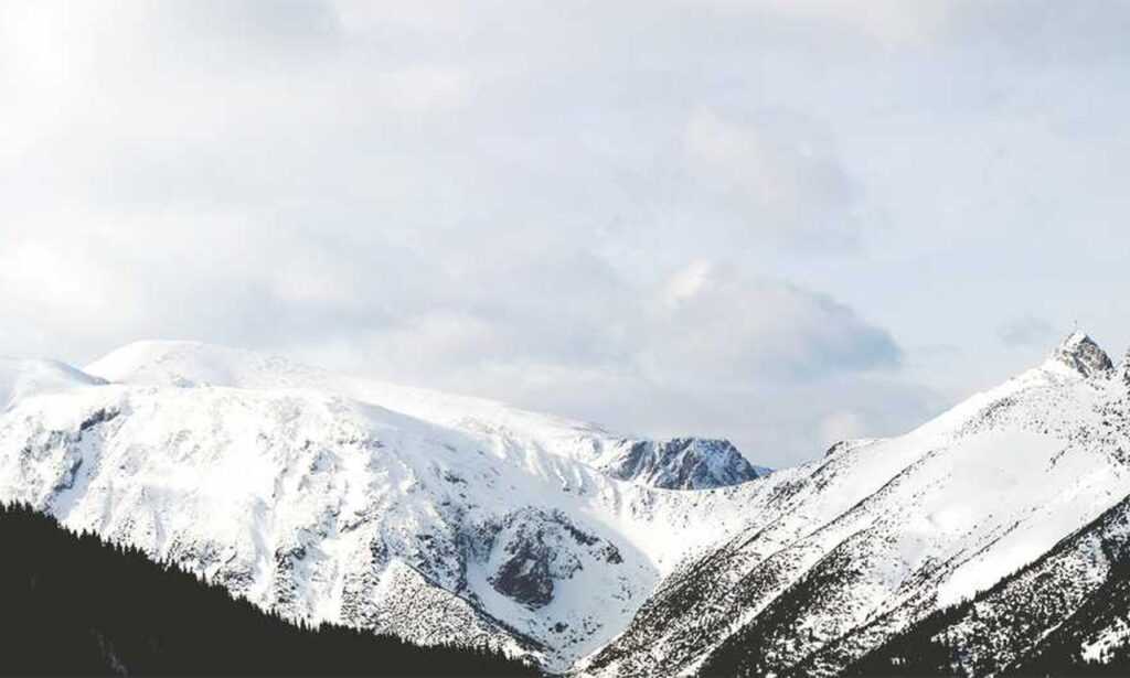 avoid kids toys with zifegemo