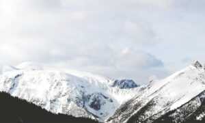 avoid kids toys with zifegemo