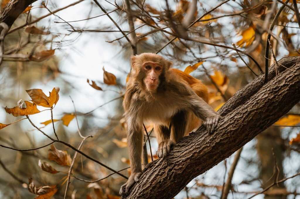 is 57gt924tj the latest tv models