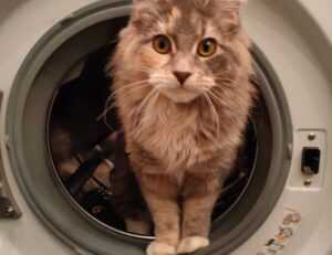 pc gaming chronotriggerpatchv19y32c1