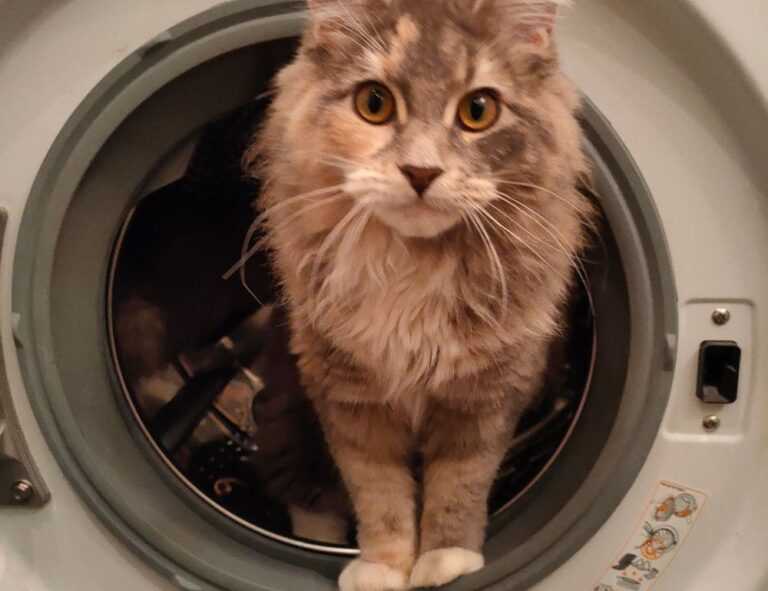 pc gaming chronotriggerpatchv19y32c1