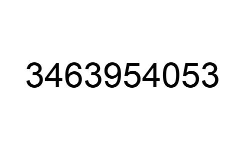 3463954053