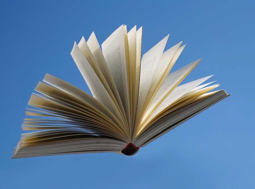 Game Results Today Sffaresports