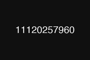 11120257960