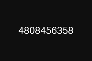4808456358