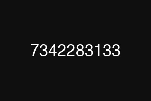 7342283133