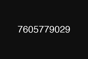 7605779029