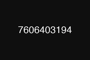 7606403194