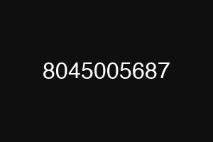 8045005687