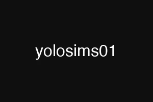 yolosims01