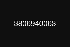 3806940063