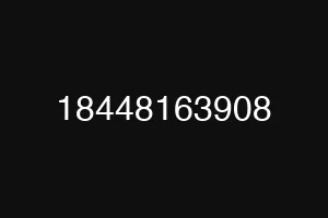 18448163908