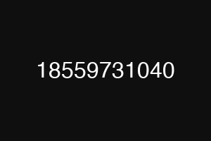 18559731040