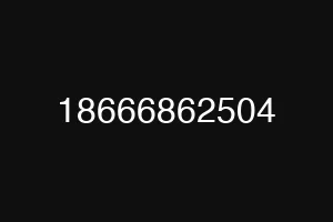 18666862504