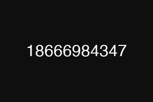 18666984347