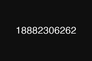 18882306262