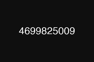 4699825009