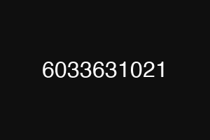 6033631021
