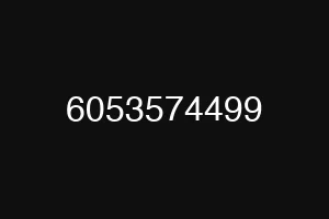 6053574499