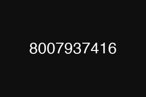 8007937416