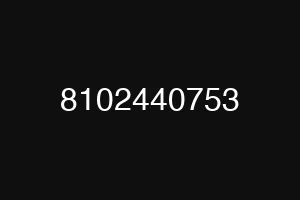 8102440753