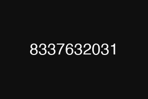 8337632031