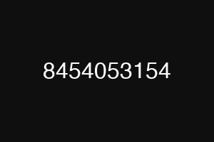8454053154