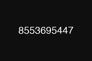 8553695447