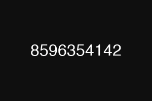 8596354142