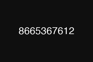 8665367612