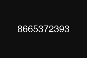 8665372393