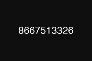 8667513326