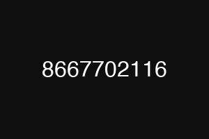 8667702116