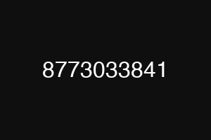 8773033841