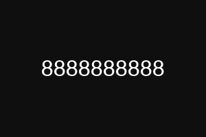 8888888888